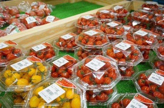 野菜市の様子