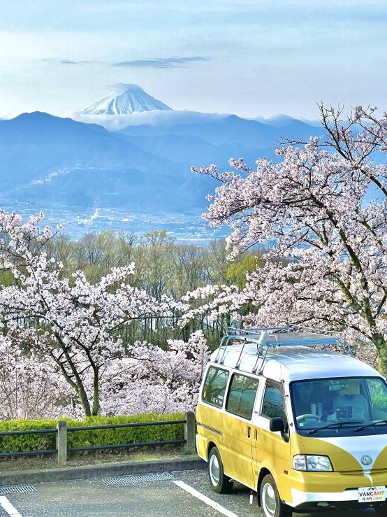 桜と富士山とノエル号が一緒に写る山梨県笛吹川フルーツ公園