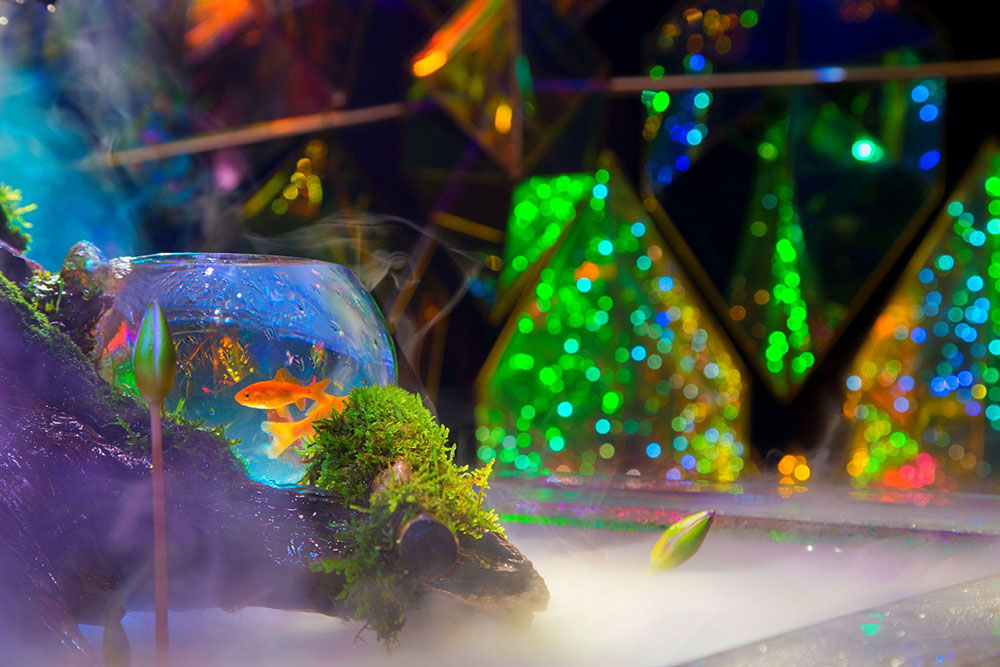 金魚ミュージアムの展示