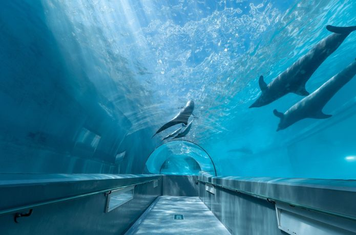太地町立くじらの博物館の海洋水族館「マリナリュウム」