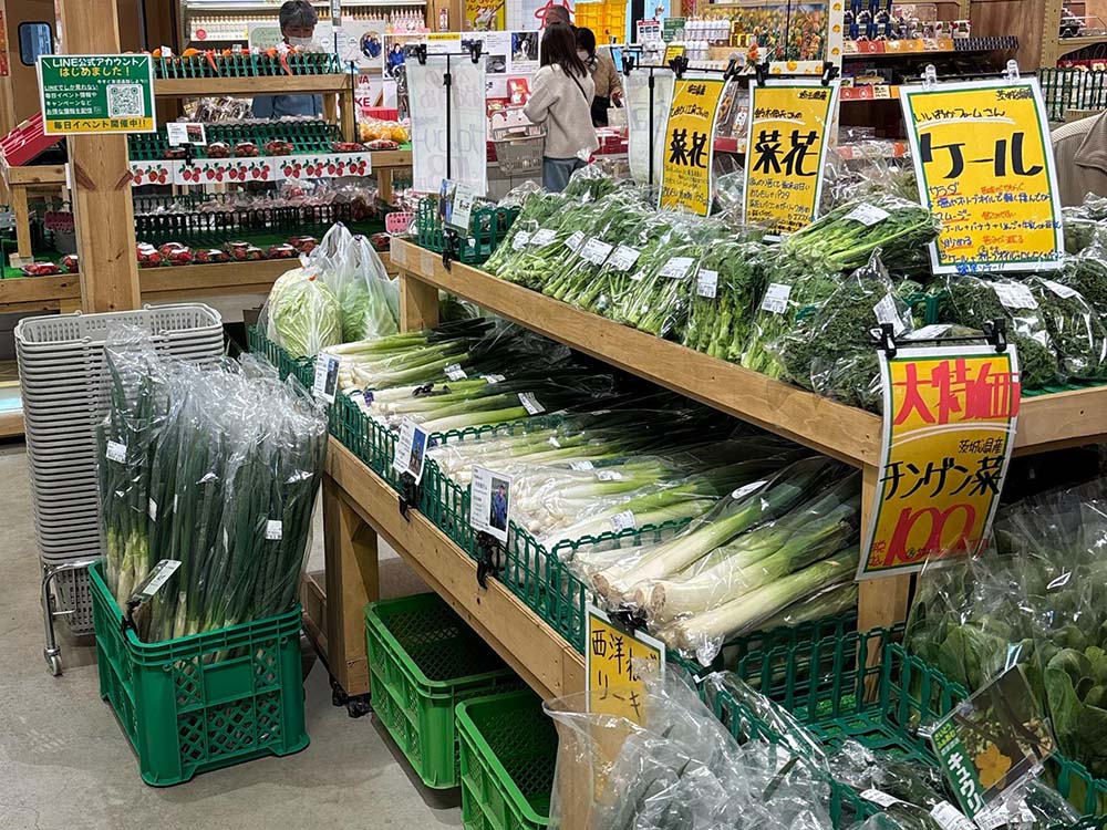 道の駅「べに花の郷おけがわ」で売っている野菜