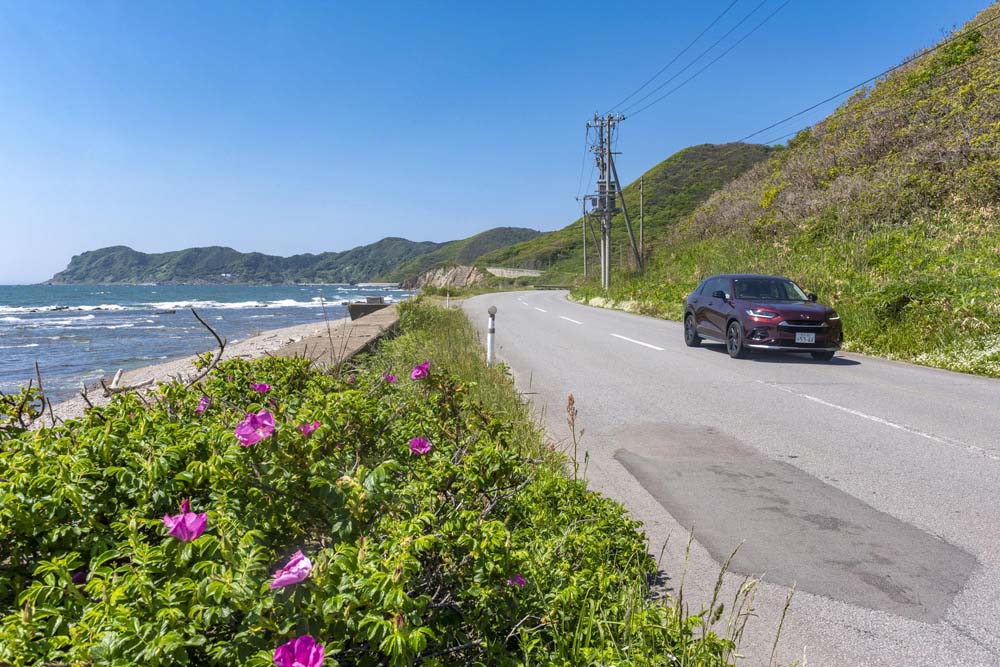 海岸線を走るZR-Vとハマナスの花