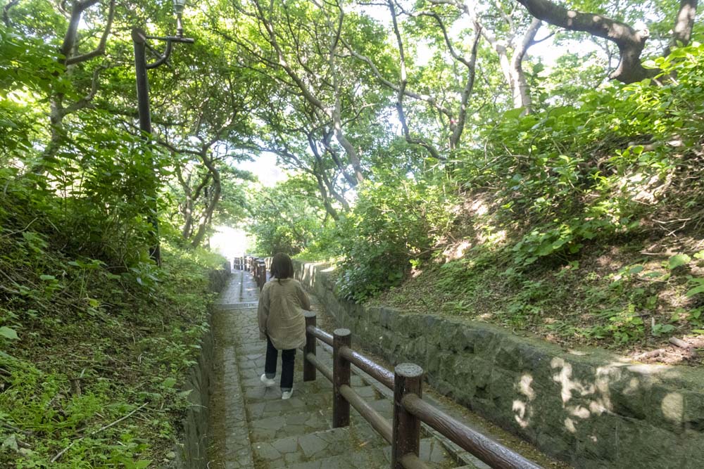 木漏れ日の中を階段を下りる磯野さん
