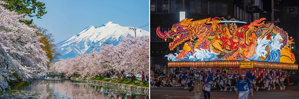弘前公園の桜と青森市のねぶた祭りの様子
