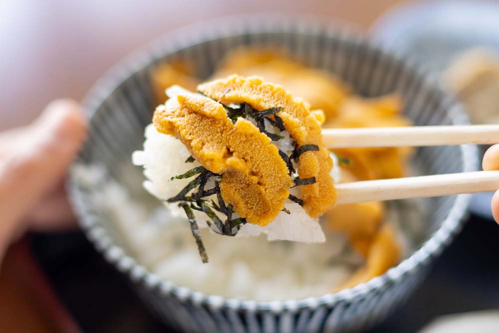 仏ヶ浦ドライブインのウニ丼