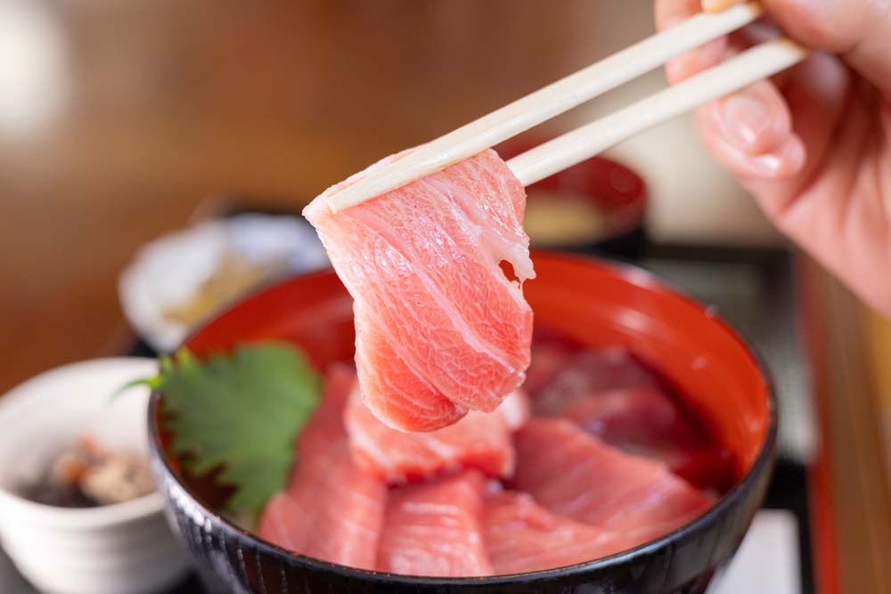 脂ののったマグロの切り身