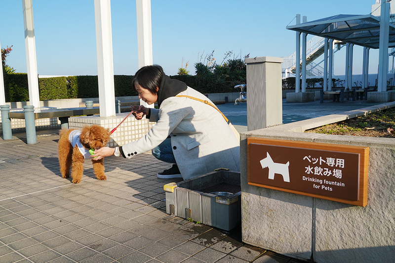 海ほたるPAで休憩するユキさんとココア君