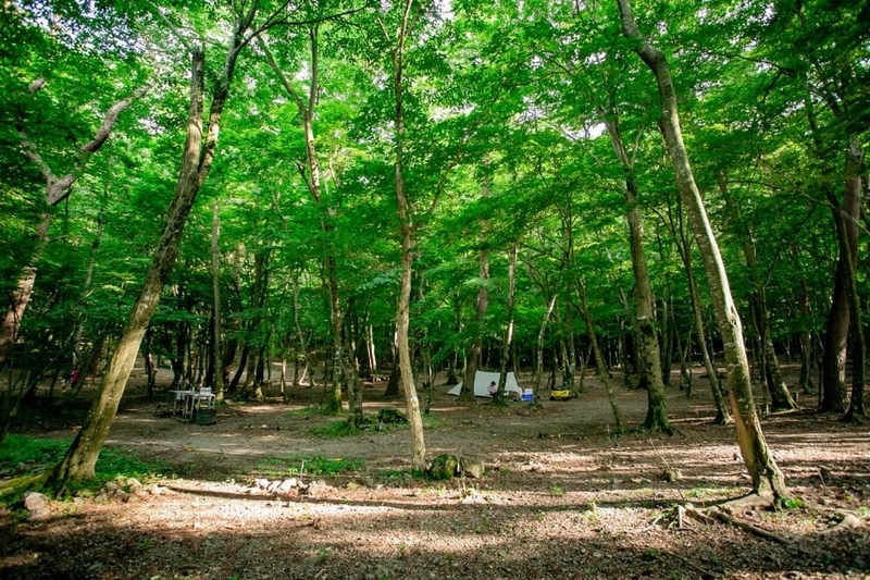 ogawaのみなさんと撮影を行った本栖湖SUMIKA CAMP FIELD
