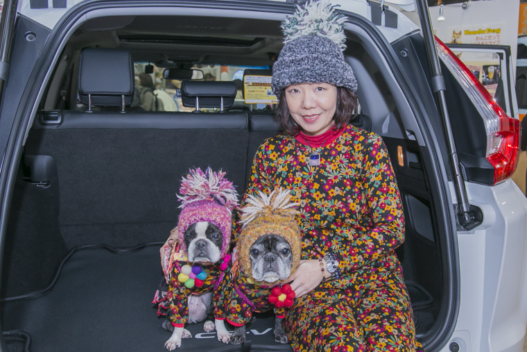 ボストンテリアのたまちゃんとフレンチブルドッグのふくちゃんと飼い主さん