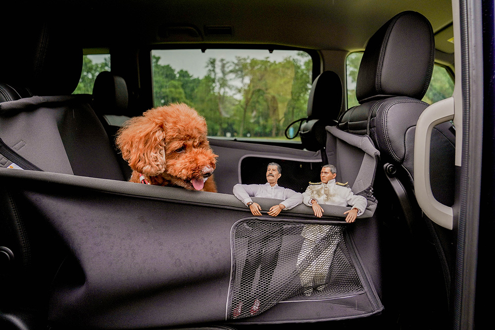 Honda Dogのペットサークルに入っているトイプードルとミフネさん、ヨシダさん