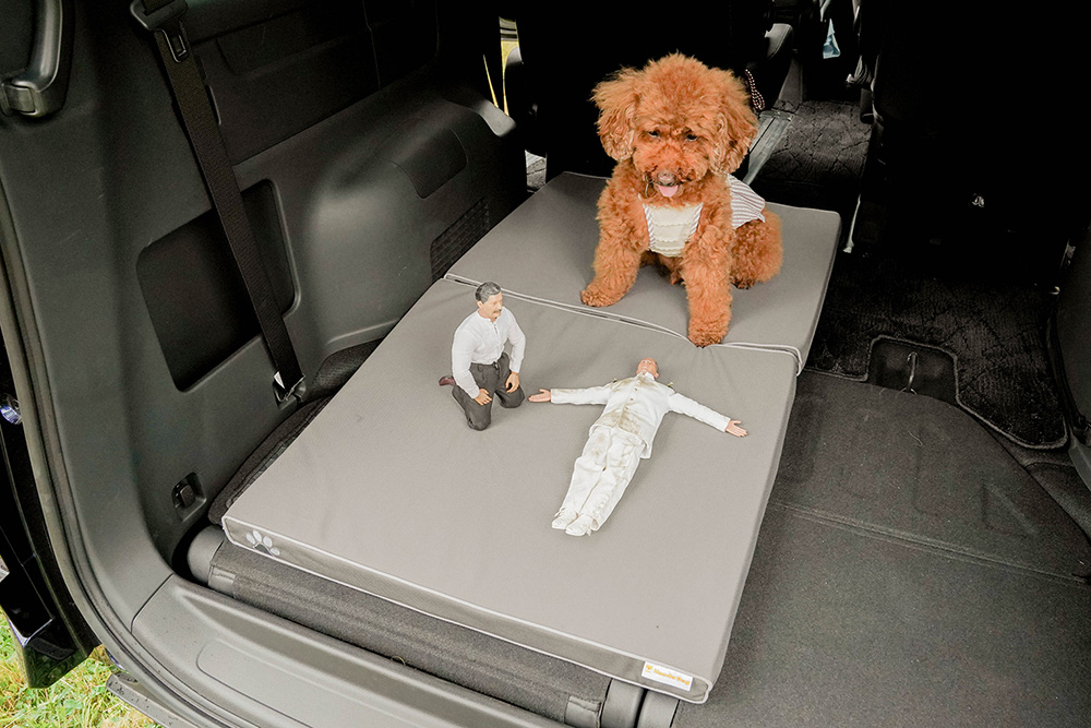 Honda Dogのペットフロアクッションでリラックスするトイプードルのココアちゃんとヨシダさん、ミフネさん