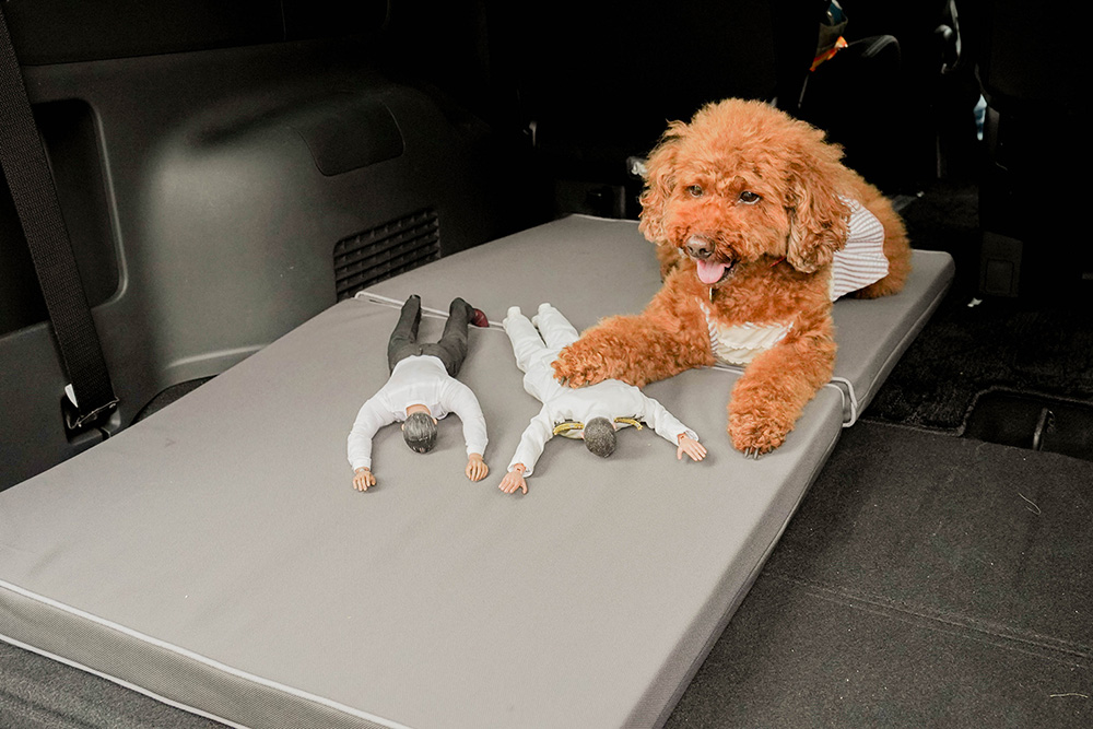 Honda Dogのペットフロアクッションに寝転んでいるヨシダさんとミフネさん、ミフネさんの上に手を置くトイプードルのココアちゃん