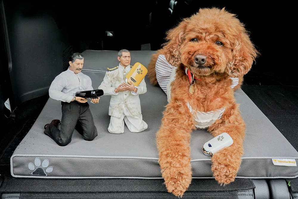 Honda Dogのペットキーカバー(肉球)をもつトイプードルのココアちゃんとヨシダさん、ミフネさん
