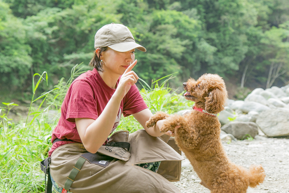 ペットの犬にしつけをする