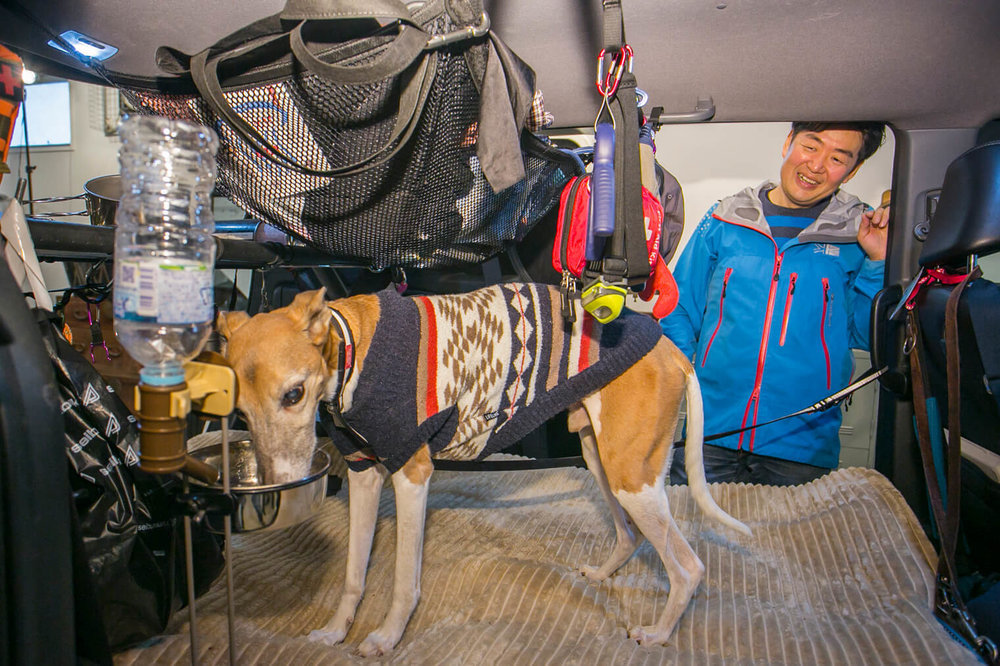 フリードスパイクの車内で、水を飲むペットの犬