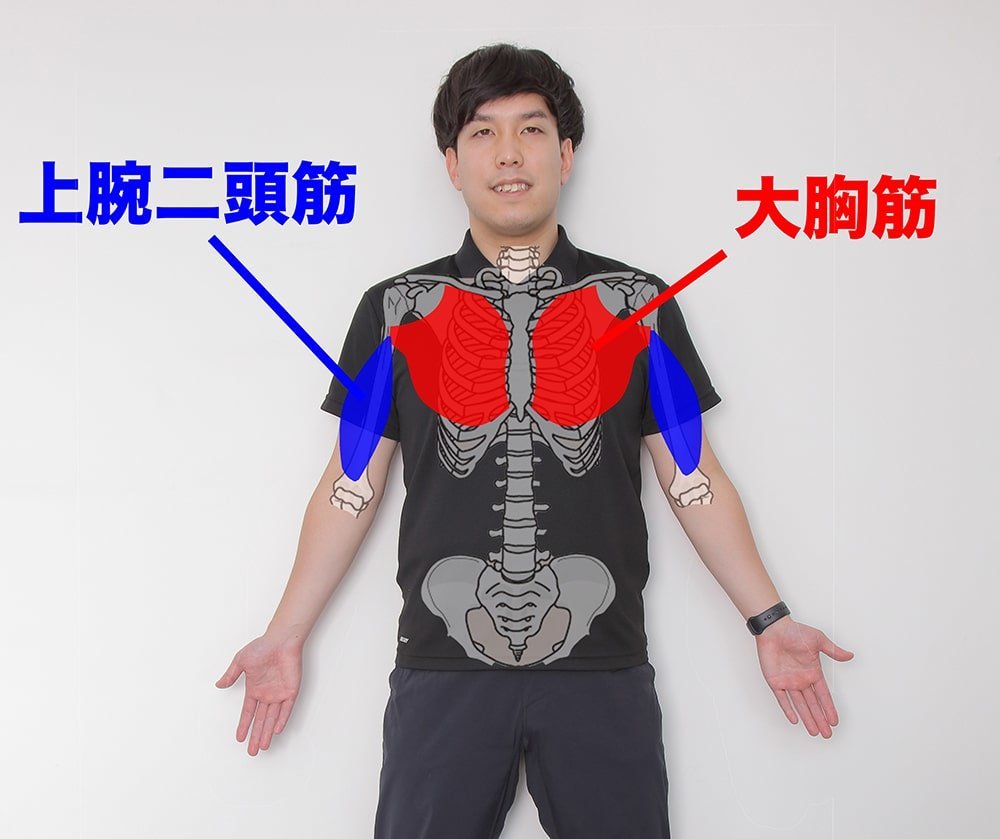 大胸筋と上腕二頭筋を示すオガトレの尾形 竜之介さん