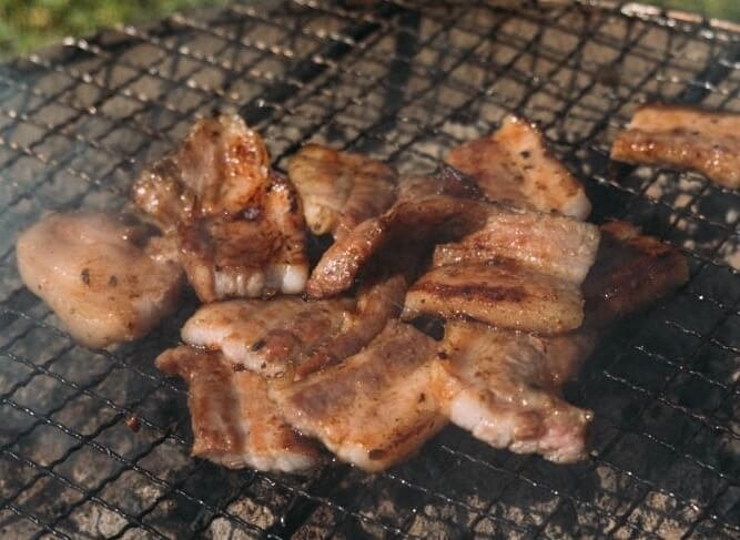 29_車中泊キャンプでバーベキュー。網の上で豚肉を焼いているところ