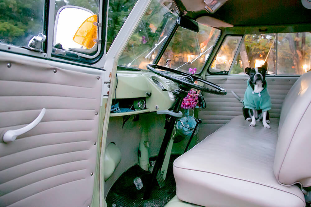 ワーゲンバスでキャンプライフ！クラシックカーの魅力を引き出す