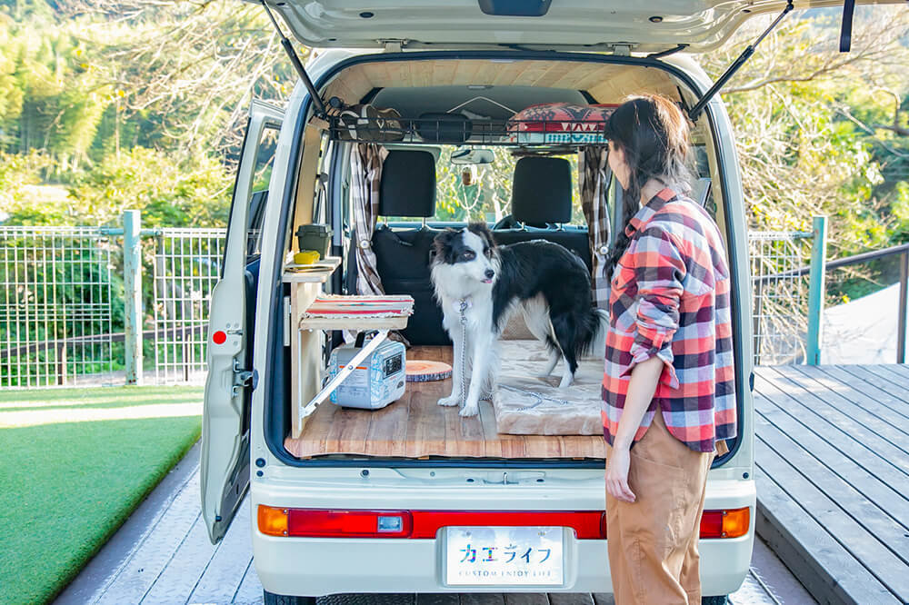 荷室の中に犬のドンちゃんがいて森風美さんを見ている