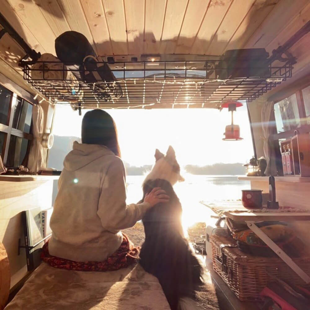 森風美さんの愛犬・どんちゃんと車中泊イメージの写真