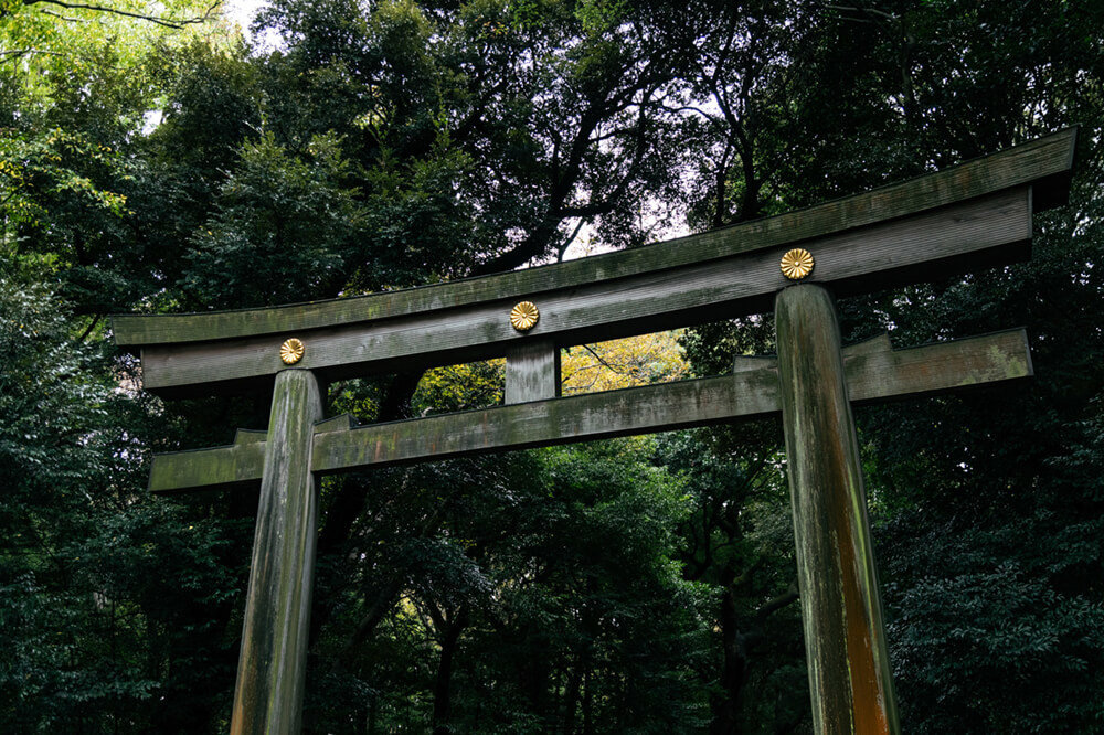 明治神宮の鳥居