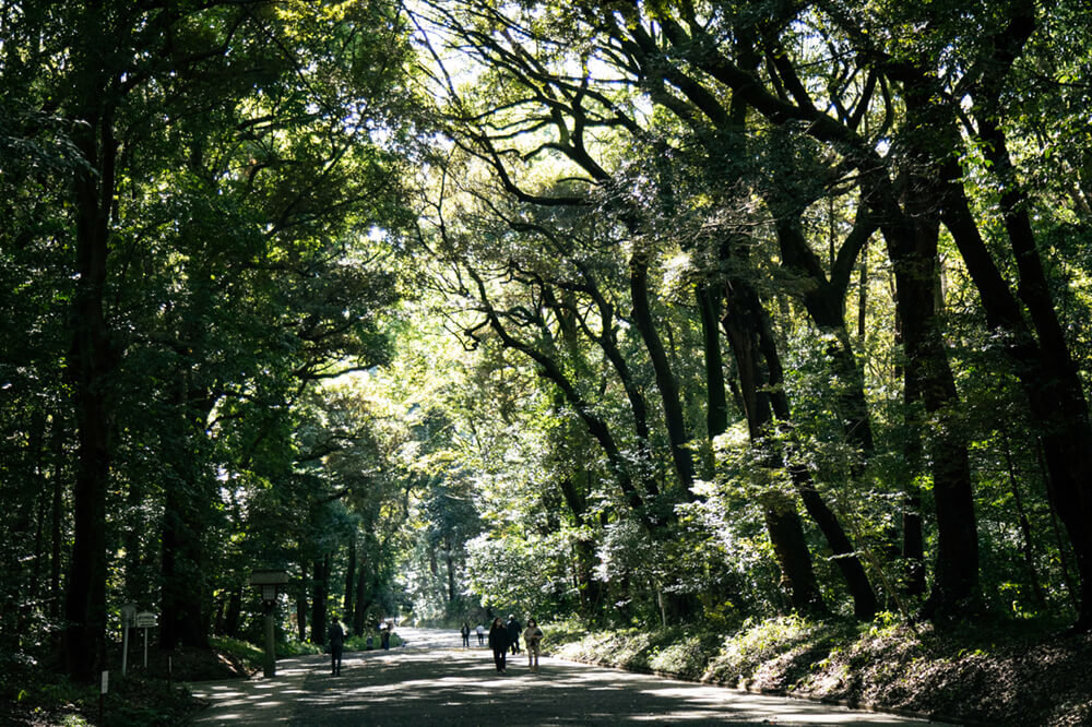 明治神宮の北参道