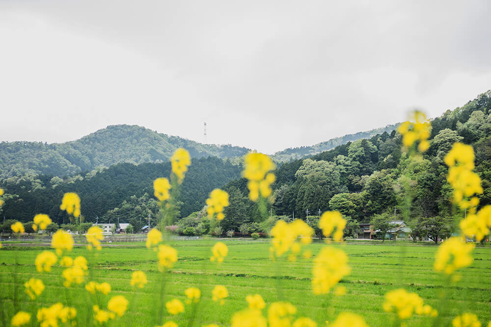 山間の風景