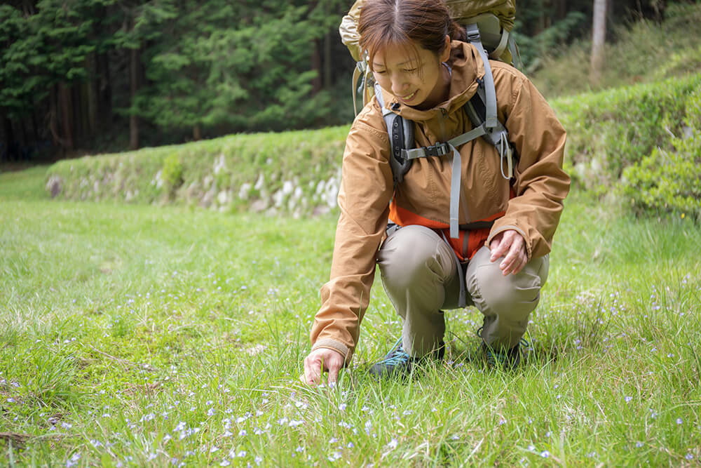 花を見つける三島さん