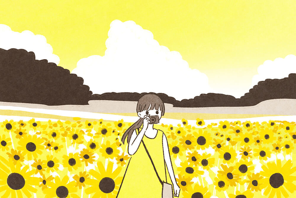 ひまわり畑の中で写真を撮影する、いとうみゆきさん