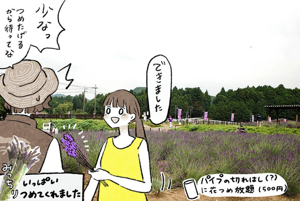 ラベンダー畑で花を摘む、いとうみゆきさん