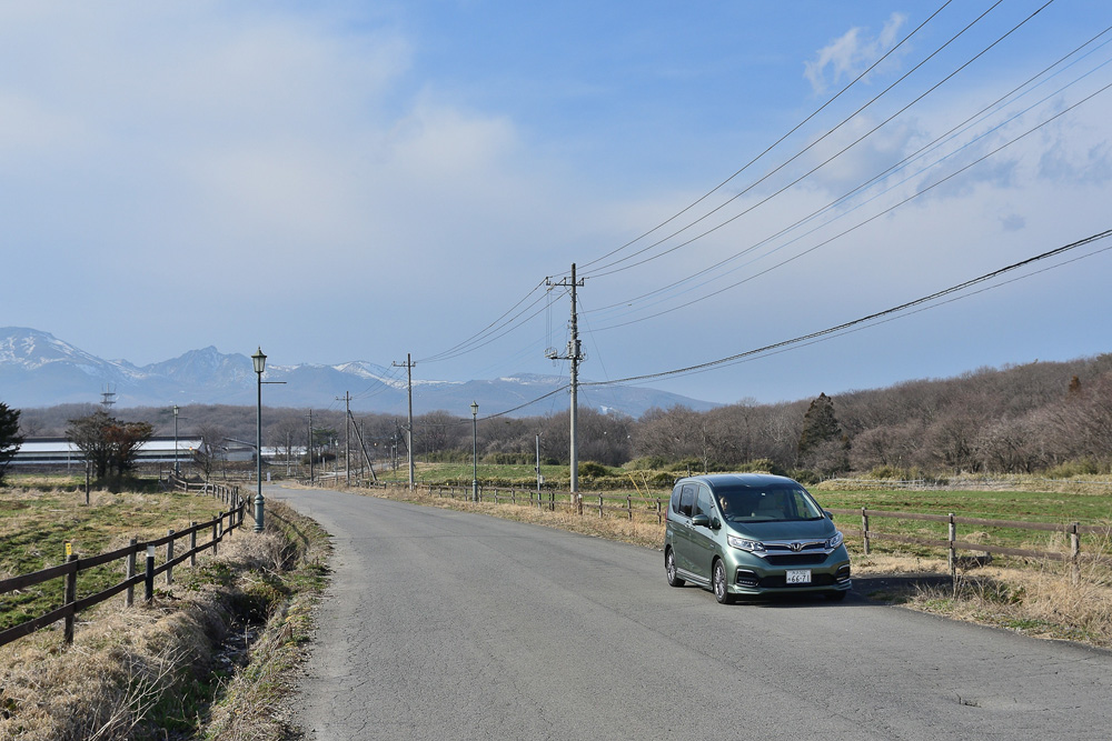 沿道には牧場が広がりドライブも楽しそう!