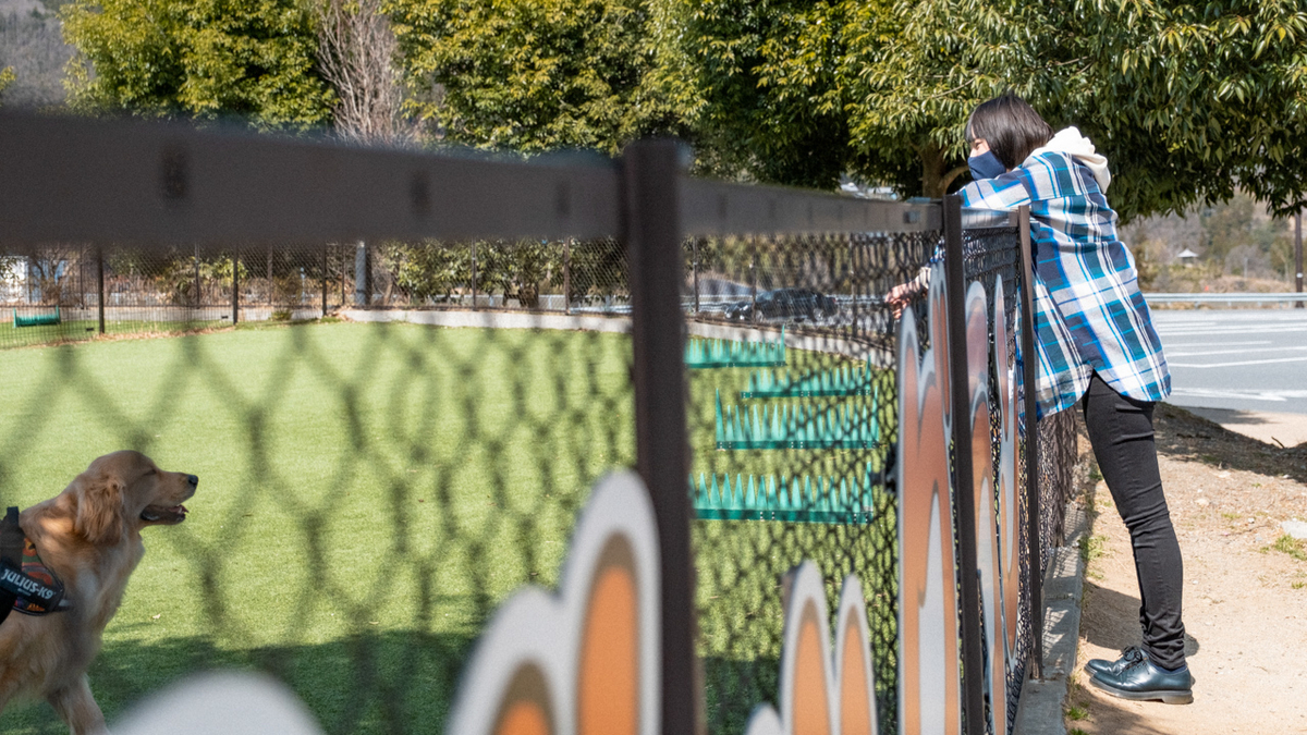 談合坂SAのドッグランエリア写真