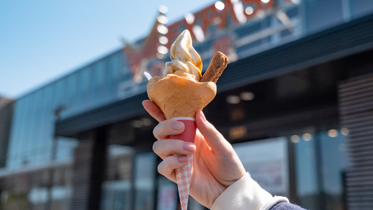 桔梗信玄ソフトの写真