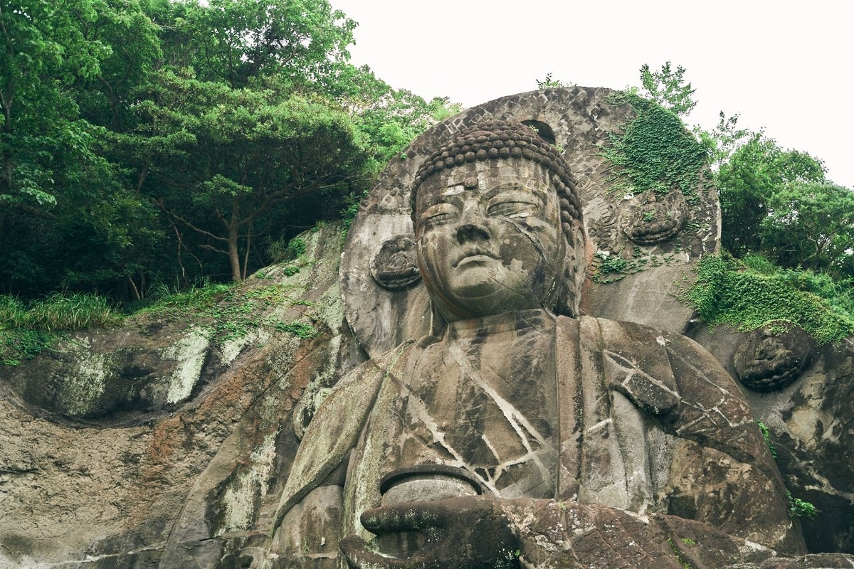 薬師瑠璃光如来像を見上げる木村