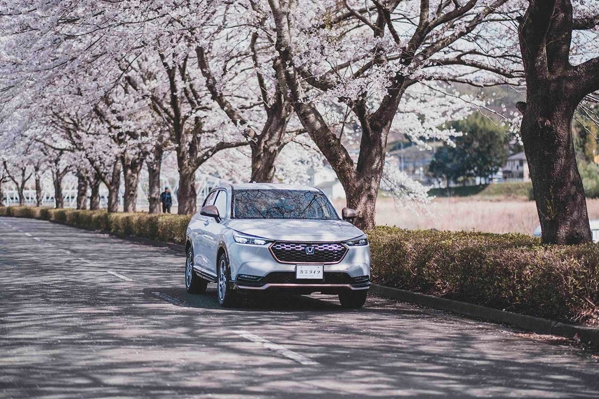 桜並木の下を走るヴェゼル写真
