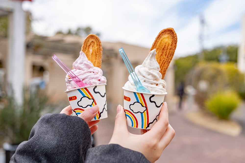 購入したジェラート2種