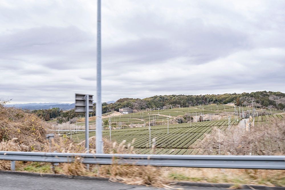 静岡県内の高速道路からの風景はお茶畑がちらほら