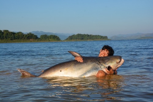 怪魚ハンター山根ブラザーズ山根央之プロフィール写真