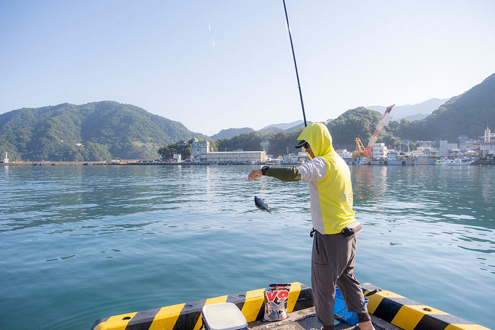 田子港でメジナを釣り上げる怪魚ハンター山根ブラザーズ 山根央之