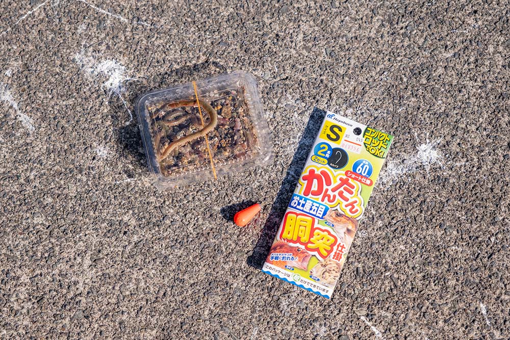 今回使用したアオイソメと胴突き仕掛け