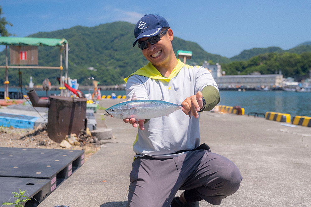 田子港で釣り上げたヒラソウダ（ソウダガツオ）