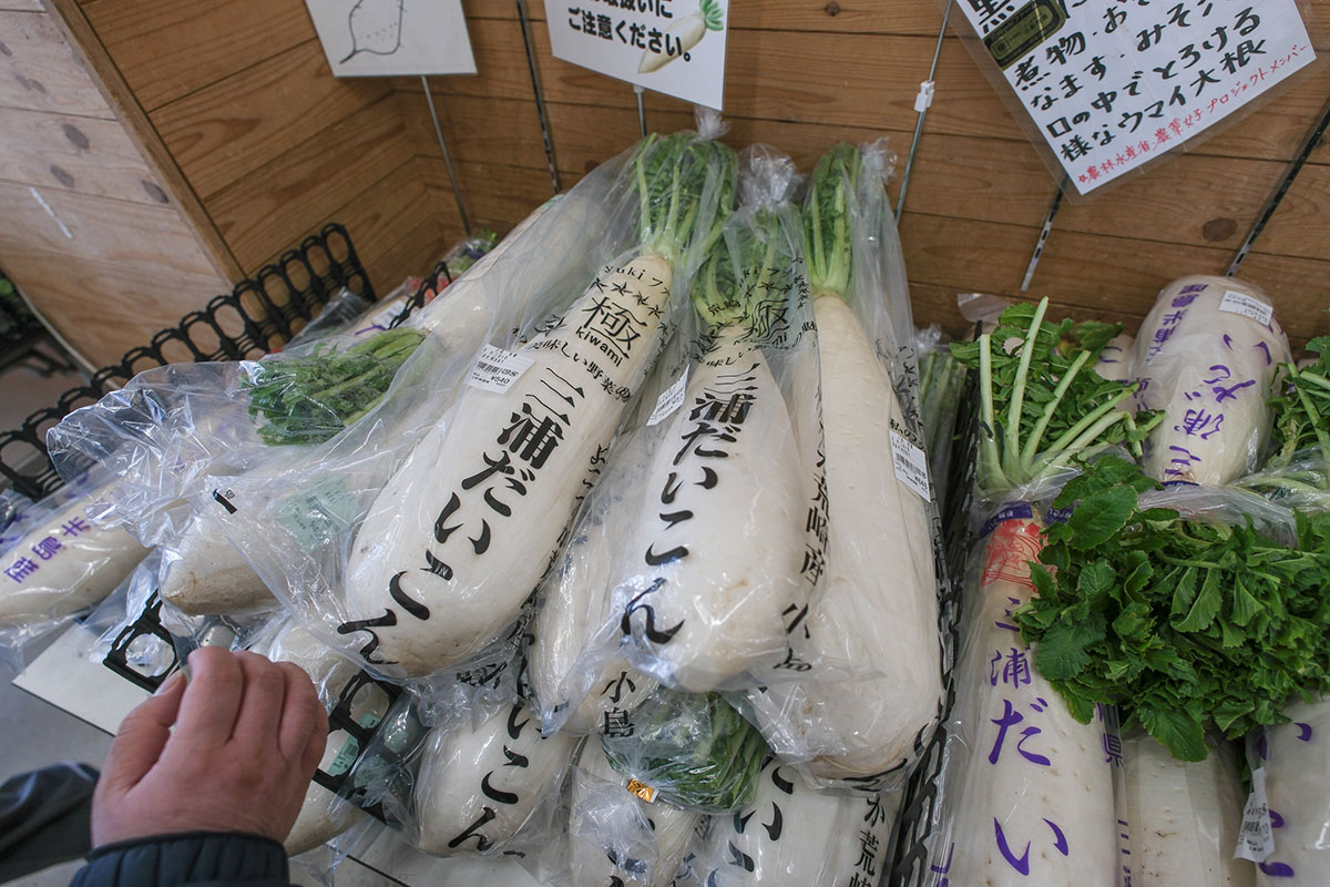 店内に並べられていた三浦だいこん