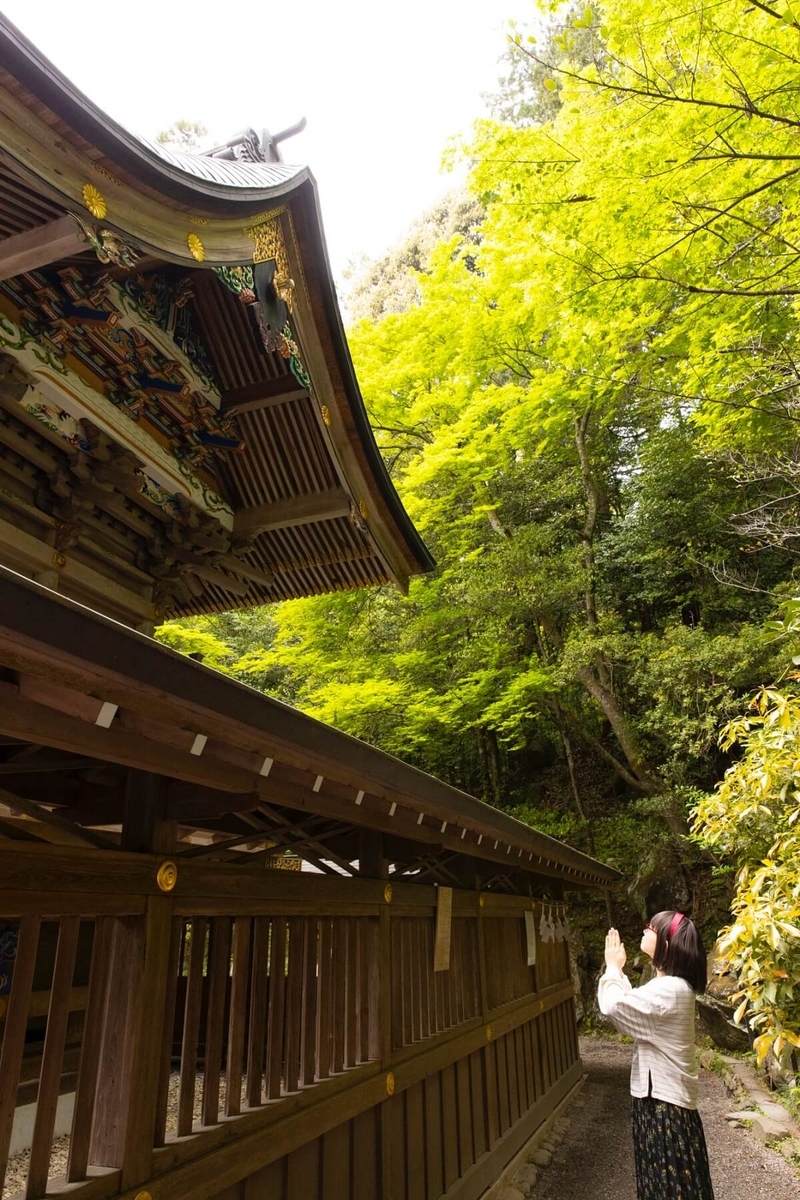 宝登山神社の本殿の背面にある「登竜門」の彫刻に出世を祈願するツマミ具依さん