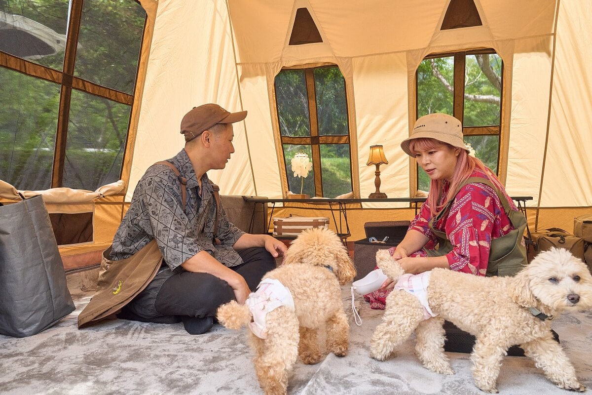 テントの中に座っている、さいとう夫婦とペットのトイプードルたち