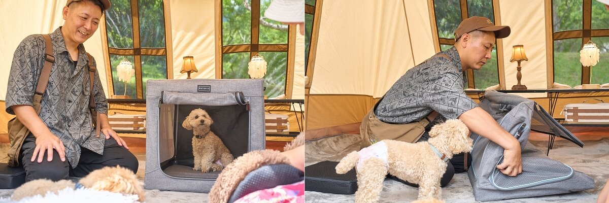 左は、ケージの中に座っているトイプードルと、その横に座っているタローさん。右は、ケージを畳んでいるタローさん