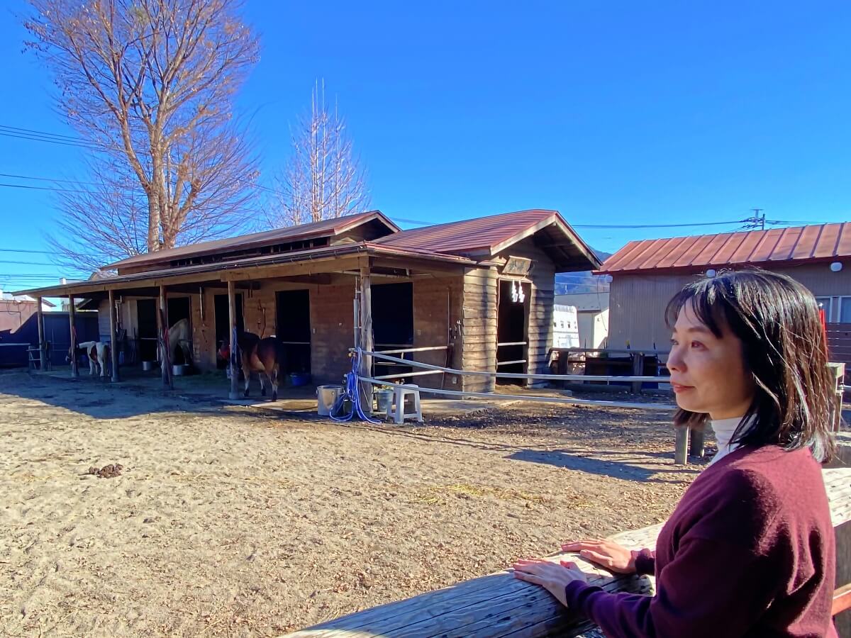 馬場にはサラブレッドだけでなく、流鏑馬で活躍する木曽馬、かわいいポニーもいました