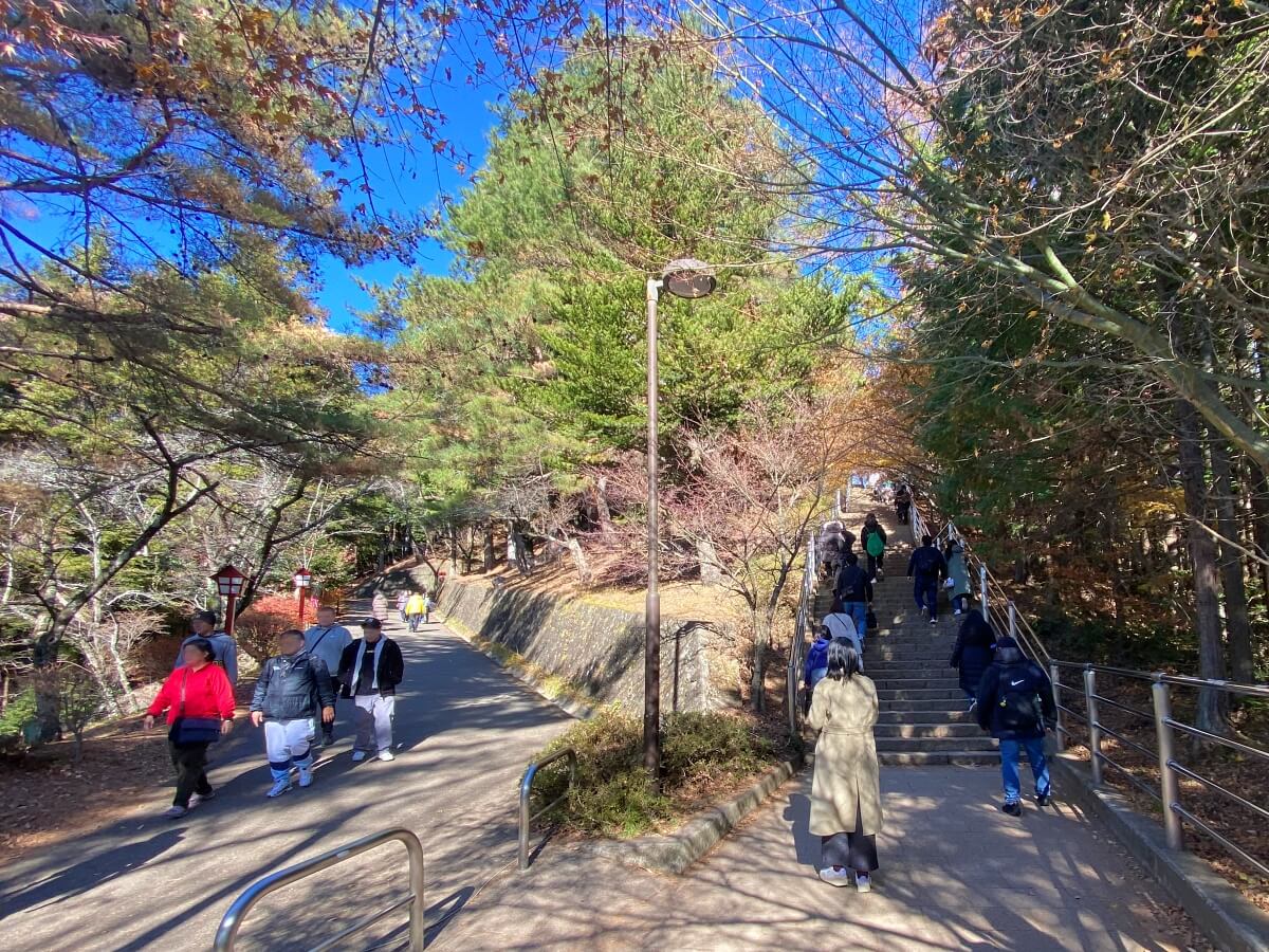  新倉富士浅間神社の「咲くや姫階段」の前に立つ辛酸なめ子さん