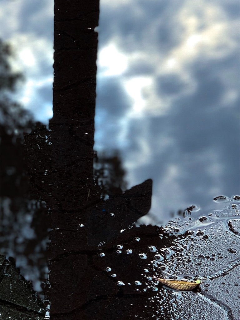 f:id:kaeminapp:20190905073745j:image f:id:kaeminapp:20190905073745j:image