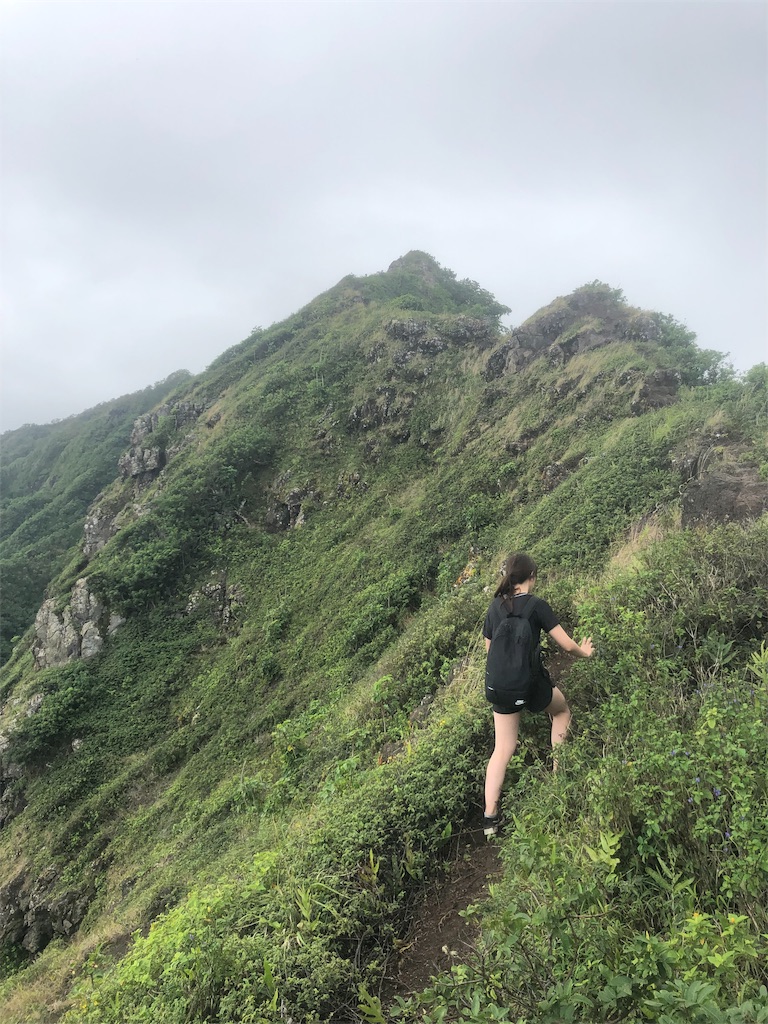 f:id:kaepuff:20190211193015j:image