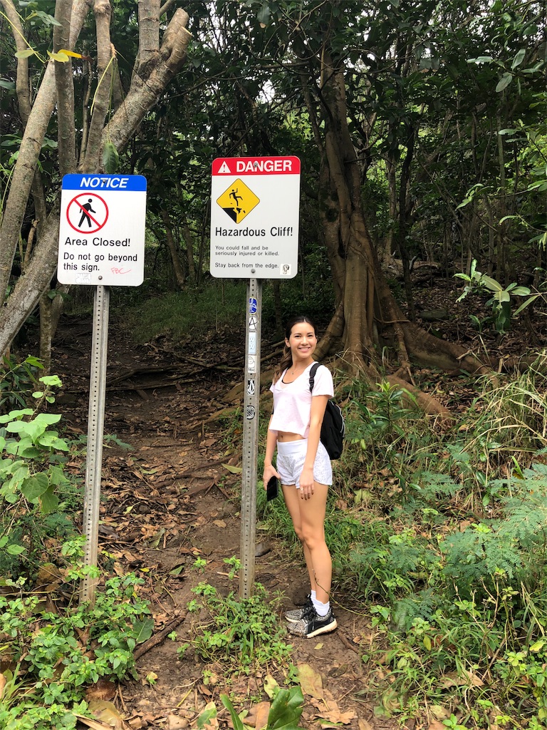 f:id:kaepuff:20190211193229j:image